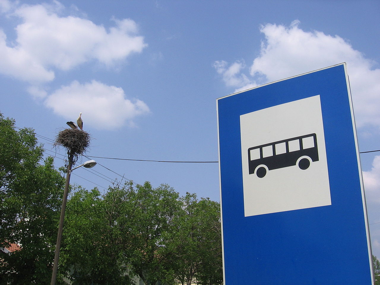 Bus stop
